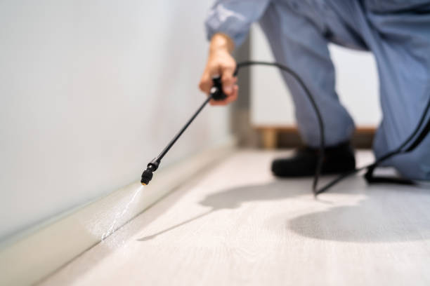 Licensed Pest Control service in West Yellowstone, MT - Show Me Pest Control